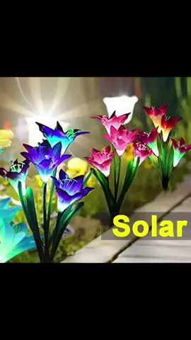 Solar Lights Outdoor Waterproof with 4 Bigger Lily Flowers for Outdoor Garden Tree Pathway. #solarenergy #solarlights #waterproof 