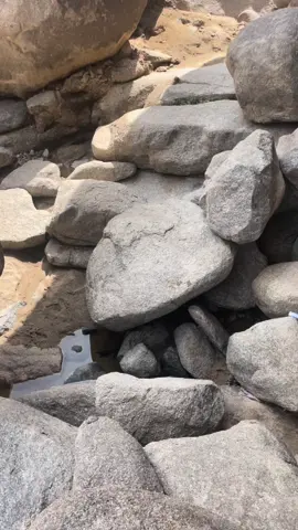 #اكسبلورexplore #اكسبللورر #اكسبلور #explore #explorepage #tiktok #السعودية #اليمن 