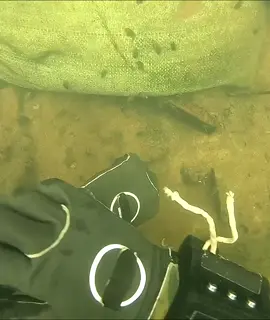 #underwater #treasure #treasurehunt #fyp