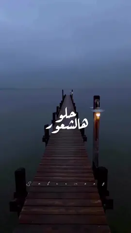 تلقا عشق تهتمله ويسد النقص 🤍😍🤍 #حلو_هالشعور #رحمه_رياض #rahmariad #rahmariadfan #new #newsong #newmusic #music #song #songs #عائلتي #موسيقى #اغاني #lyricvideo #tiktokmusic #tiktokarab #tiktoklongs #viral #fyp #foryou #foryoupage #fypシ #explore #اكسبلور #مشاهدات #دعم #اكسبلورexplore #تصميم_فيديوهات🎶🎤🎬 #تريند #ترند #newtrend #trending #trend  @Saleemoof 