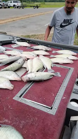 Another day at the office with my brother Quincy Jeans SLABS🔥🫡🎣🦾!  #CRAPPIECASKET #TEAMDANDD #crappie #fishing #mississippi #k9fishing #bayoucustombaits #bnmpoles #Arkansas   #rangerboats #mississippi #slab #fyp #foryou #viral #fishtok  #anglers 
