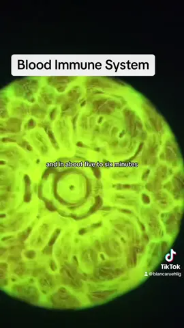 Listen to my cyma 1000 frequencies online at www.cymatones.com 