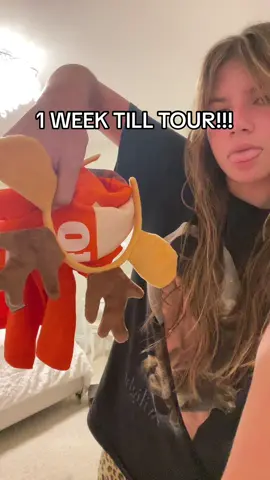 team orange for the win🦌#sturniolotriplets #foryoupage #foryou #chrissturniolo #mattsturniolo #nicksturniolo 