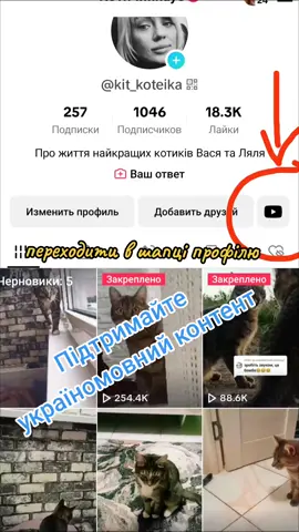 Підтримайте мій канал.. Україномовний контент який має право на існування #котячийхаус #приколиукраїнською #котячітеревені 