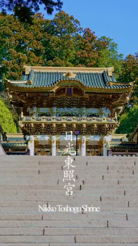 日光東照宮　陽明門から奥宮(徳川家康墓所)　Nikko Toshogu Shrine  from Yomeimon Gate to Okumiya(grave of Ieyasu Tokugawa) 先日投稿した日光東照宮の映像の続きです。 This is a continuation of the video of Nikko Toshogu Shrine that I posted the other day. 日光東照宮は日本で最も装飾的な神社の一つであり、江戸を首都として1603年から1867年まで日本を支配した徳川幕府の創設者である徳川家康の霊廟とされています。 Nikko Toshogu shrine in Tochigi prefecture is one of most decorated shrines in Japan and it is the mausoleum of Tokugawa Ieyasu, the founder of the Tokugawa Shogunate, a dynasty that ruled Japan from 1603-1867, with its capital in Edo(Tokyo). #日光東照宮 #日光 #栃木県 #アシタカセット記 #visitjapan #japantravel 