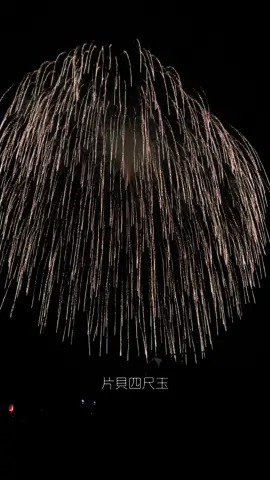 片貝祭り🎆2023.9.9 世界最大烟花-四尺玉 打ち上げ高度約800m、開花直径約800m(skystreet ) 「昇天銀竜黄金すだれ小割浮模様」が打ち上げられる #片貝祭り #世界一花火 #花火 #四尺玉花火 