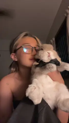 he hates me #rabbit 