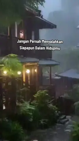 #lifemotivation #neverblameanyone #fyp 