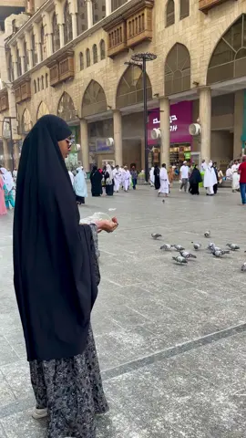 Feeding the pigeons in MAKKAH ❤️ #makkah #birds #feed #pigeons #umrah2023 