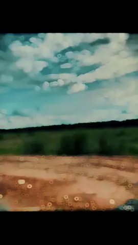 Bài nhạc này buồn quá! #CapCut #xh #xuhuongtiktok #anhakieu #sadmusic #foryou #forest #mrtruongg 