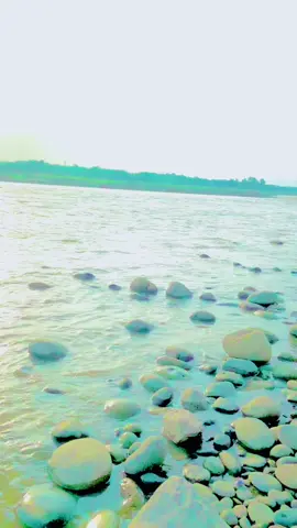 Da sen pa gara 🥀✌🏻🦅#Foryou #foryoupage #virlvideo #unfrezzmyaccount #pleasesupport #tiktok 