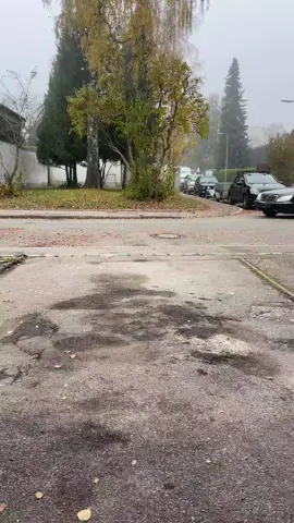 #mercedes 