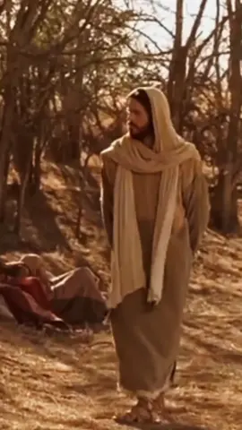 Jesus ensina a perdoar 70x7🙌#deus #fé #palavradedeus #biblia #jesus #viraltiktok #palavradosenhor