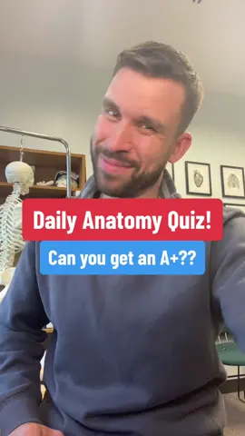 Time to hit the books! 📚 #anatomy #anatomyclass #medtok #nursesoftiktok #doctorsoftiktok #fyp #foryoupage 