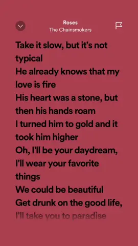 Roses - The Chainsmokers #lyrics #spotify #lyricsvideo #fyp 