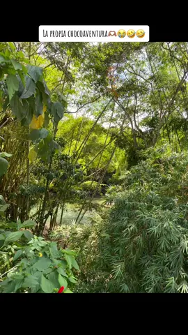 La chocoaventura más grande de nuestras vidas 🤣🤣🤣#parati #fyp #chocoaventura 