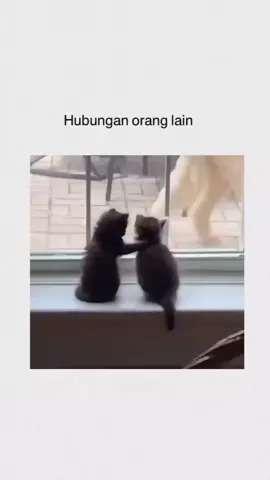 tiap hri berantem tapi gak putus2🤣🤣#dehnyonyang🤣 #fypシ゚viral #fyp #gakbahayata 