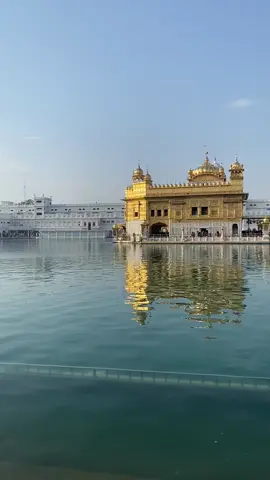 Punjab 🇮🇳🌾🚜 #punjab #pindh 