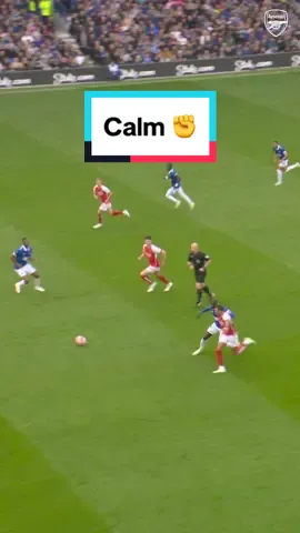 Cool. Calm. 𝘾𝙤𝙡𝙡𝙚𝙘𝙩𝙚𝙙. 😉 #Arsenal #Football #PremierLeague #BenWhite #Everton 