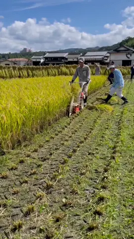 Automatic agricultural machine 💯 #agriculturalmachines #smart #agriculturalengineer 