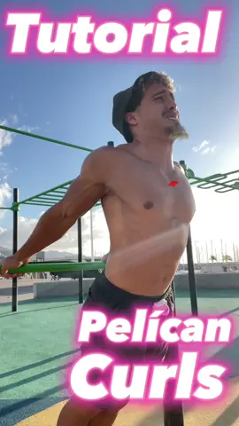 Tutorial curl pelican biceps #curl #bicep #biceps #bicepsworkout #curls #curldebiceps #workout #workoutmotivation #fit #Fitness #fitnessmotivation #gym #gymmotivation #calistenia #calisthenic #calisthenics #calisthenicsworkout #humor 
