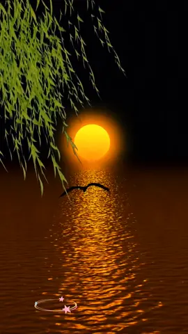 Beautiful scenery#scenery #fouyou #fouyoupage #fyp #tiktok #moon 