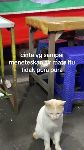 #fyp 