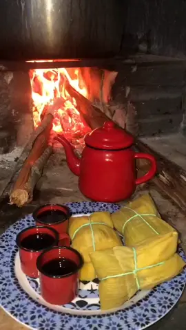 uma ótima semana a todos ☕❤️🙏 #bomdia #cafe #cafedamanha #vidanocampo #video #roca #vidanointerior #vidanaroça #interior #fogaoalenha #viral 