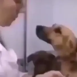 #كلب_خاق #رياكشنات 