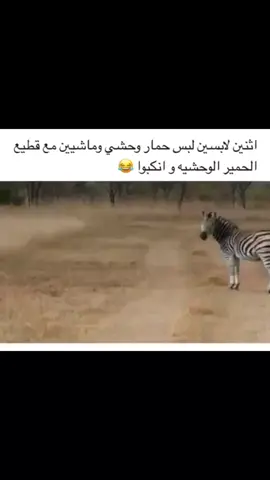 #متابعة #لايك #ضحك #اكسبلووور #ببجي#تحشيش_ببجي_موبايل #تريند #قصف_جبهات #حركة_الاكسبلور #تحشيش #تصويري #لايك_كومنت_فولو #افلام #تفاعلوا #اكسبلوررررر 