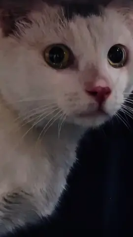 lupakan aku dari hidupmu #foryou 