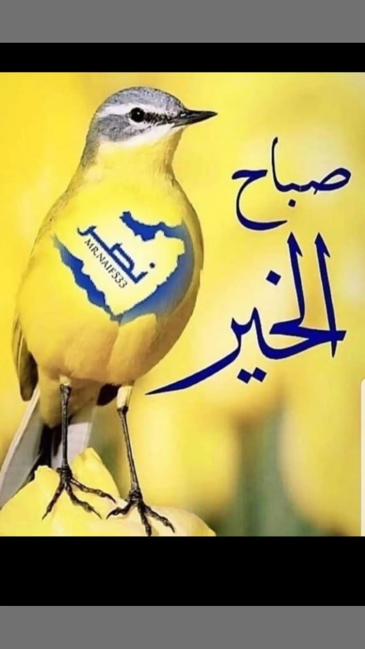صباح فوز نصراوي😎😂😂 #بيرسبوليس_الايراني #النصر_السعودي #النصر #رونالدو #الشعب_الصيني_ماله_حل😂😂 #viral #foryou #دوري_ابطال_اسيا #اكسبلورر #explore #fyp 