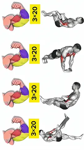 Biceps & Triceps workout at home Arms Exercises #beginners #homeworkout #muscle #triceps #biceps #workout 