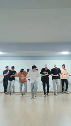 chaleya 🥰 #greatguys #grace #kpop #chaleyachallenge #shahrukhkhan #srkfan #jawan #jawansongs #chaleya 