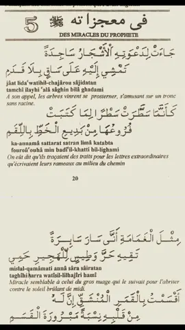 #القصائد #بردةالمديح #الفصل٥ 