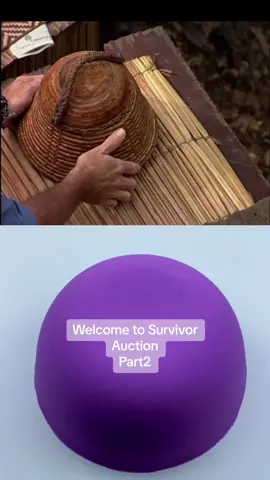 Survivor Auction part2 #fyp #survivor #food #viral #money #fun #jungle #chill 