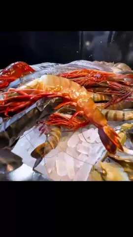 P4 - $1000 Dining in Lebanon!! Beirut’s Most Expensive Hotel Food!! #food  #awesome  #PlacesToVisit  #foodlovers