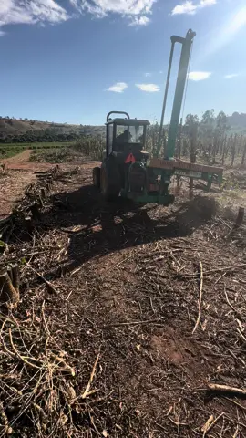 Tecepa mecanizada do café… Poda drástica para renovação da lavoura!
