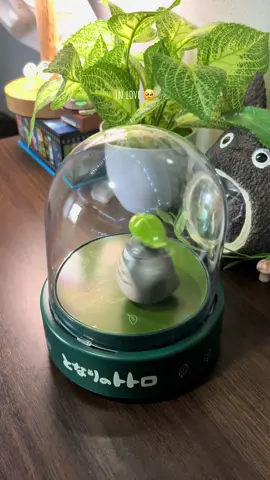 Worth every penny ⋆˙⟡♡ #totoro #studioghibli #aesthetics #myneighbortotoro 