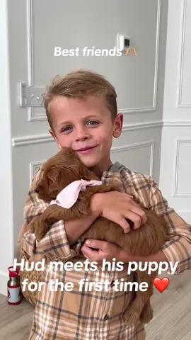 Replying to @Juli <3 and now they are best friends 🫶🏼 #puppy #surprise #goldendoodle #birthdaysurprise #reaction #sweetestreaction 