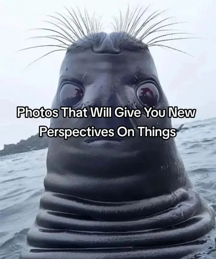 Nee Perspectives! #fyp #perspective #amazing #photography #interesting #slideshow #viral 