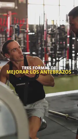 ¿Como podemos mejorar el musculo en los antebrazos? 1️⃣ Puedes usar un agarre neutro o prono durante los ejercicios de crul de bíceps. 2️⃣ O quizás las extensiones o flexiones de muñeca con carga se adaptan mas a tus preferencias. 😜 Si quieres descubrir dos ejercicios más tienes que ver este reel en el que @thetitanfit y @jordan_caporaletti te cuentan como. 🫶🏻🫰🏻 ¡Dale like si te ha gustado estos consejos! Y no te olvides de seguirnos 📥