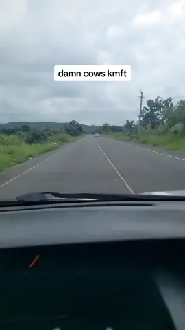 Used every claat in the book #fyp #fyppppppppppppppppppppppp #instagram #viral #reels #bombaclaat #jamaican 