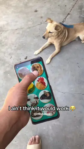 Shi tragic he checked in 🤞🏽😈