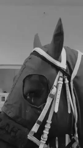 #من #يشتري #قلب #همومه #ملائين  #همومه #اكسبلور  #الشعب_الصيني_ماله_حل😂😂 