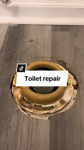 How to replace toilet wax ring and bolts #fyp #plumber #plumbinglife #fypシ゚viral #bluecollar #plumbersoftiktok  how to fix toilet how to fix loose toilet how to fix rocking toilet how to fix plumbing how to stop toilet leak