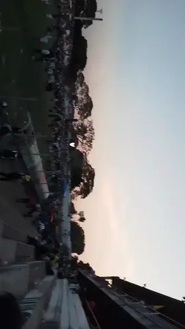 excelente tarde promo 2023