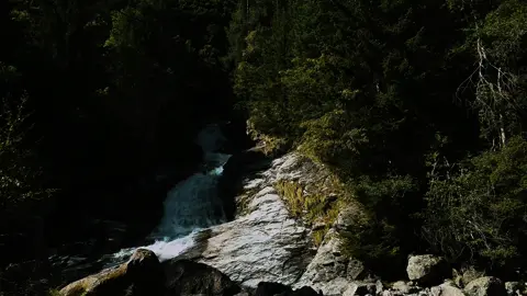 reborn.                                                       . .                                                       . .                                                       . .                                                       .                                                       .. .                                                       . .                                                       . .                                                       . .                                                       . .                                                       .#waterfall #travel #fyp #nature #viral #escaping #fypシ゚viral #mountain #friends #tiktok_india #peace #tiktok #joy 