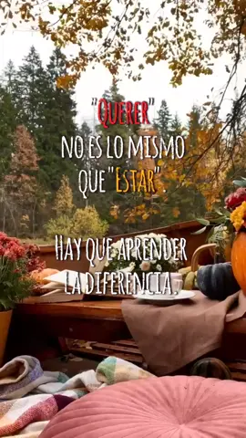 Querer ó estar... #amarodepender #vidacomotepongastevivo #lyrics #amor❤️ #tiktok #aprendiendoavivir #music #seanpaul 