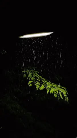 Listen to it for 4 minutes and you will feel relaxed and sleep easily #Rain #thunder #relax #typ #healing #Sleep #ASRM #asrmsounds